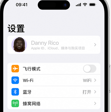 盐边appleID维修服务iPhone设置中Apple ID显示为灰色无法使用 