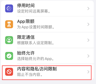 盐边appleID维修服务iPhone设置中Apple ID显示为灰色无法使用