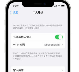 盐边apple服务站点分享iPhone上个人热点丢失了怎么办 