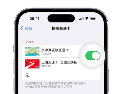 盐边apple维修点分享iPhone上更换Apple Pay快捷交通卡手绘卡面 