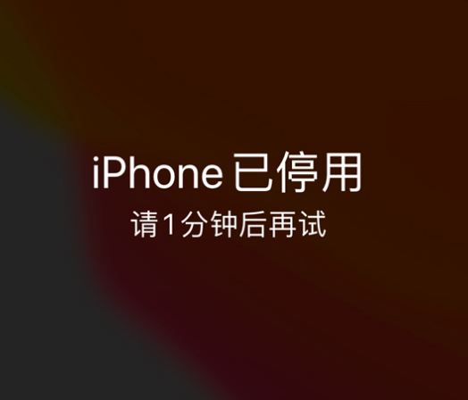 盐边苹果手机维修分享:iPhone 显示“不可用”或“已停用”怎么办？还能保留数据吗？ 