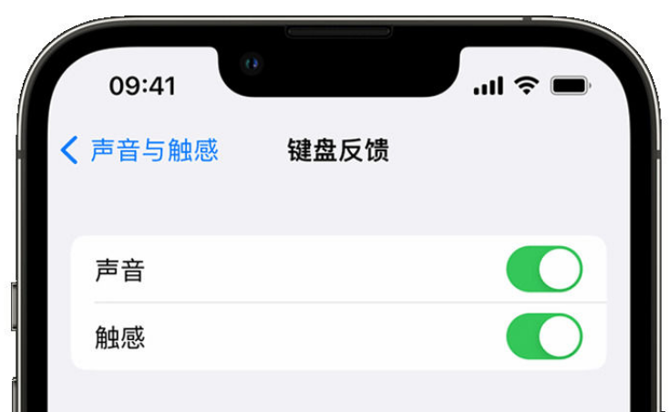 盐边苹果手机维修分享iPhone 14触感键盘使用方法 