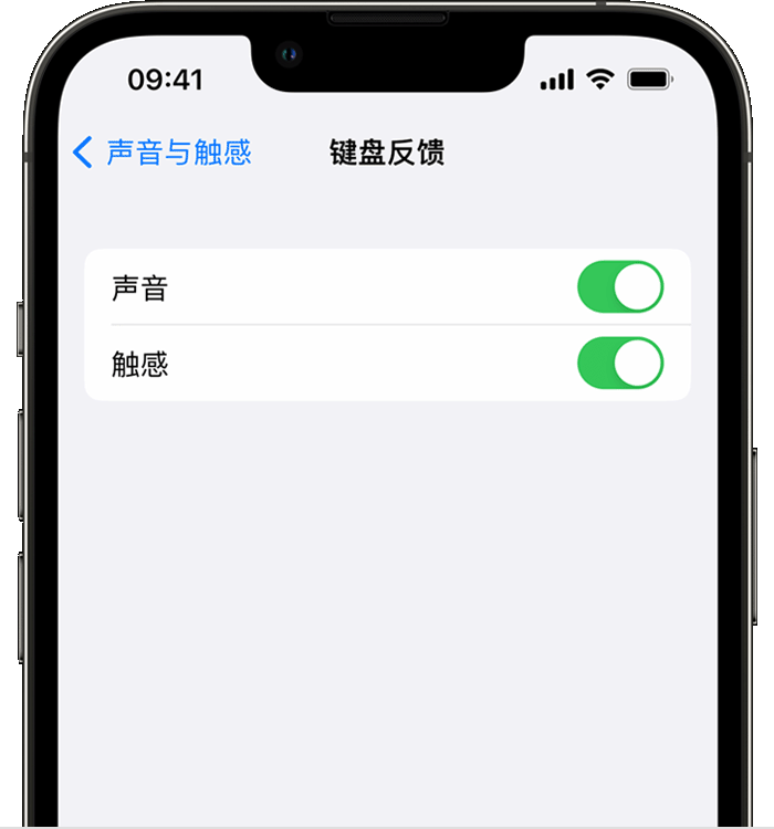 盐边苹果14维修店分享如何在 iPhone 14 机型中使用触感键盘 