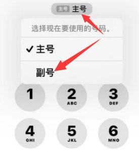 盐边苹果14维修店分享iPhone 14 Pro Max使用副卡打电话的方法 