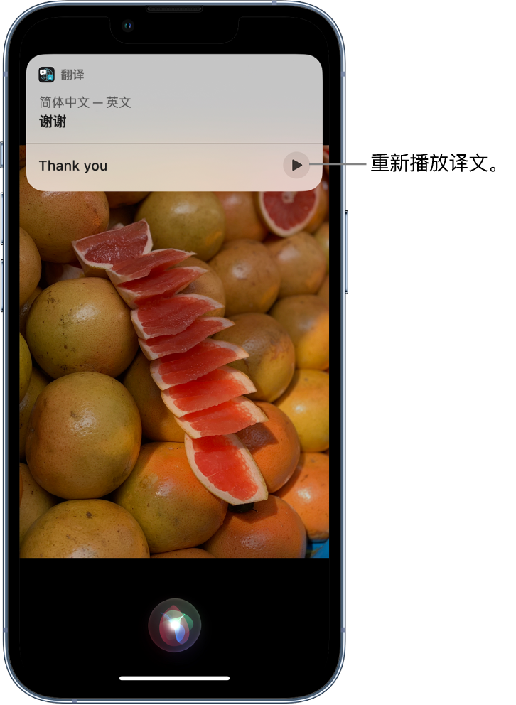 盐边苹果14维修分享 iPhone 14 机型中使用 Siri：了解 Siri 能帮你做什么 