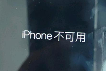 盐边苹果服务网点分享锁屏界面显示“iPhone 不可用”如何解决 