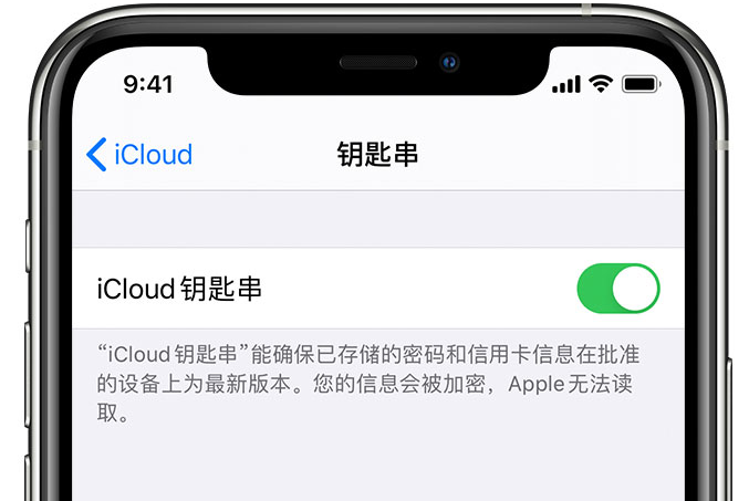 盐边苹果手机维修分享在 iPhone 上开启 iCloud 钥匙串之后会储存哪些信息 