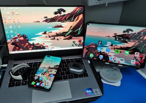 盐边苹果手机维修分享为什么iPad屏幕更大价格却比iPhone低 
