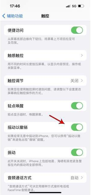 盐边苹果手机维修分享iPhone手机如何设置摇一摇删除文字 